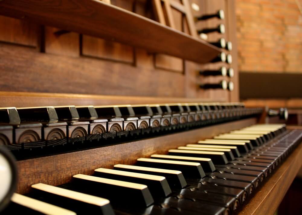 organ
