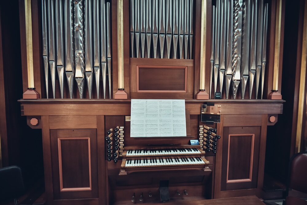 organ

